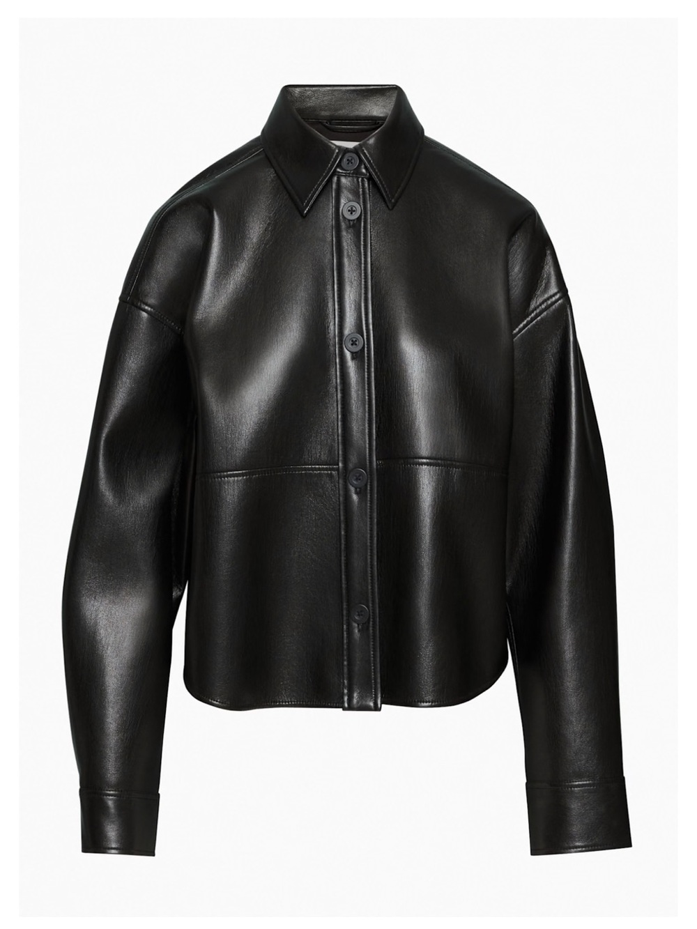 ARITZIA Black Leather Button-Front Jacket